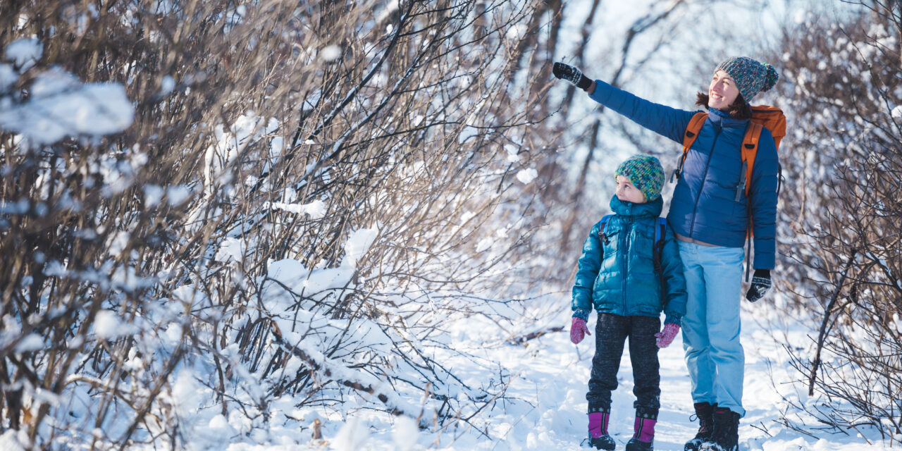 January in the Sioux Falls Area