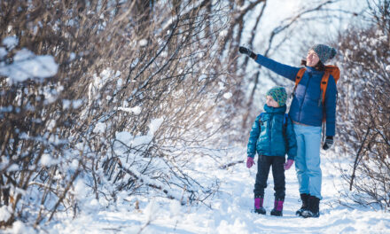January in the Sioux Falls Area