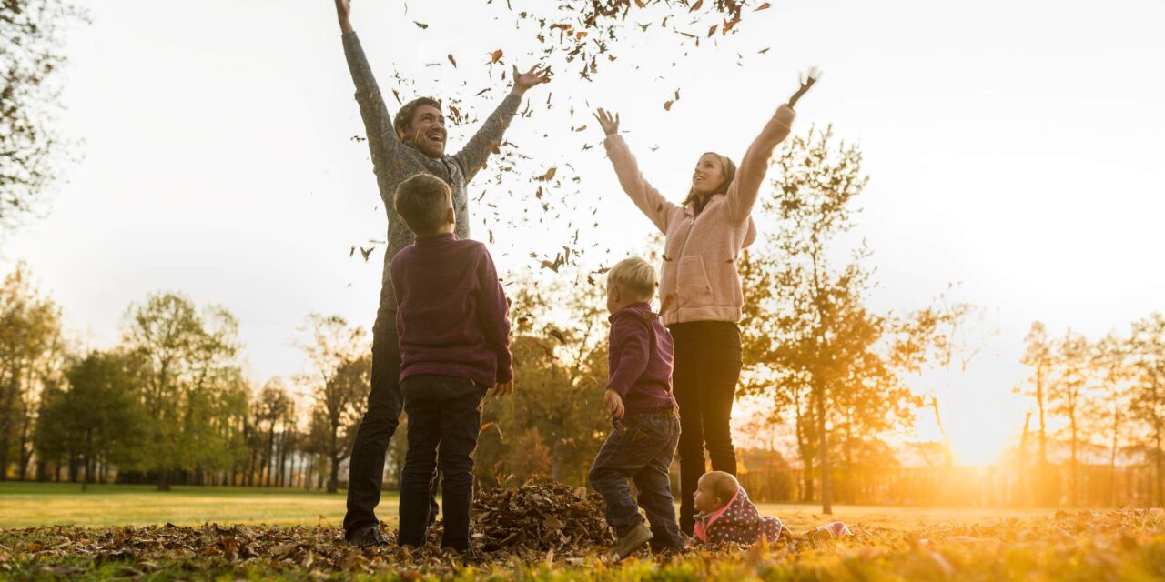 Fall Fun Guide: 36 Things to do This Fall