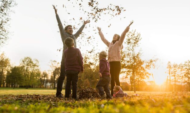 Fall Fun Guide: 36 Things to do This Fall