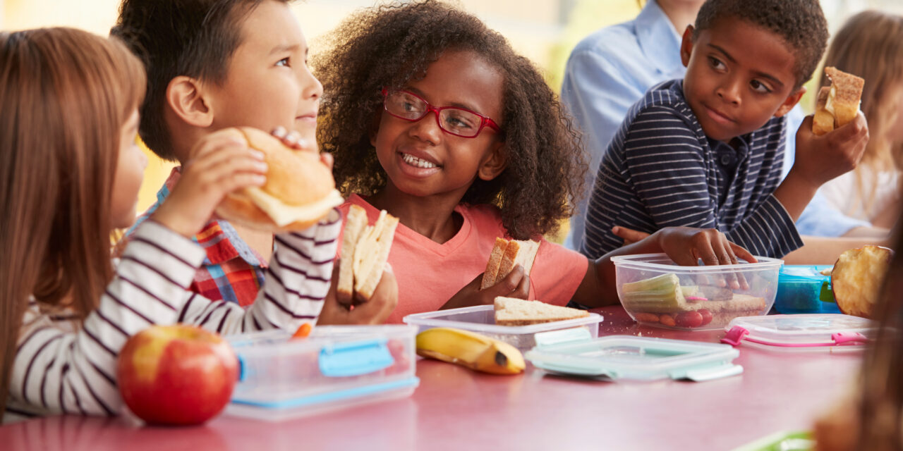 Easy Lunch Ideas for School