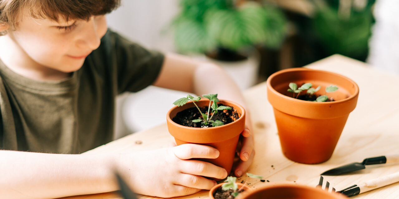 3 Indoor Activities to Enjoy with Your Kids at the End of Winter