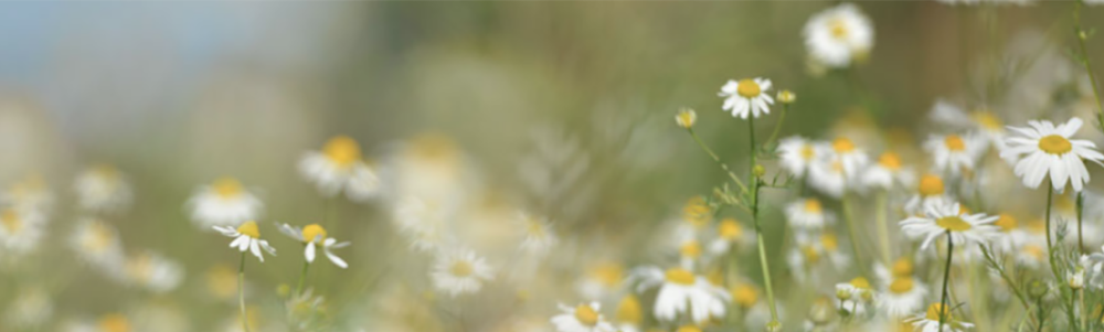 User banner image