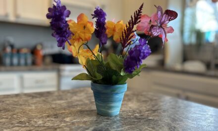 1st Day of Spring Flower Pots 