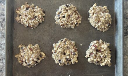 Deliciously Easy Banana Oatmeal Cookies