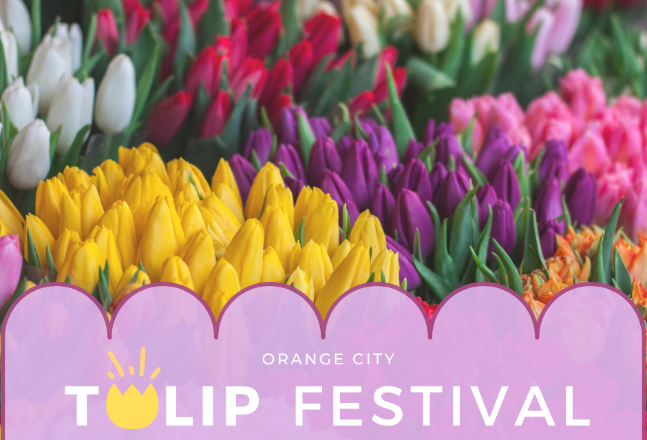 Family Guide to the Orange City Tulip Festival