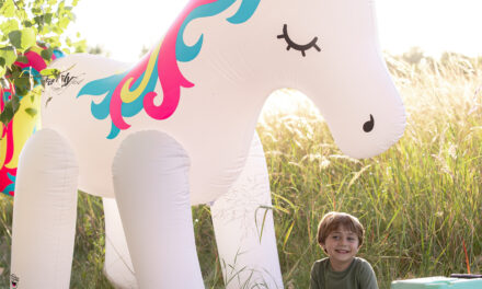 5 Things to Know about Familyfest