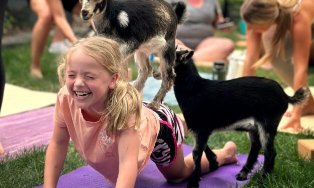 Thursday Night Goat Yoga