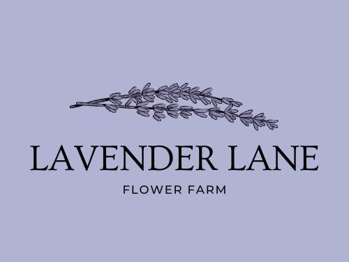 You-Pick at Lavender Lane