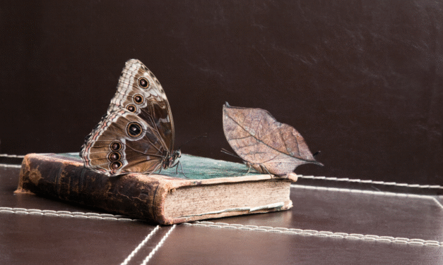 Books and Butterflies