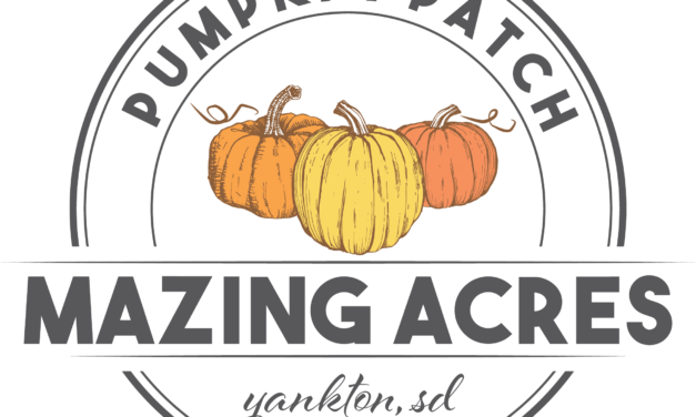 Fall Festival at Mazing Acres Pumpkin Patch