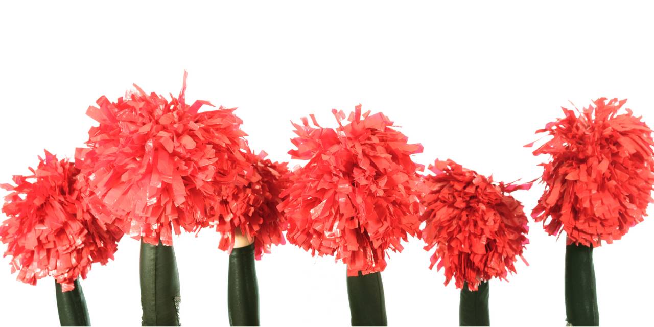Sioux Falls Area Cheer Programs