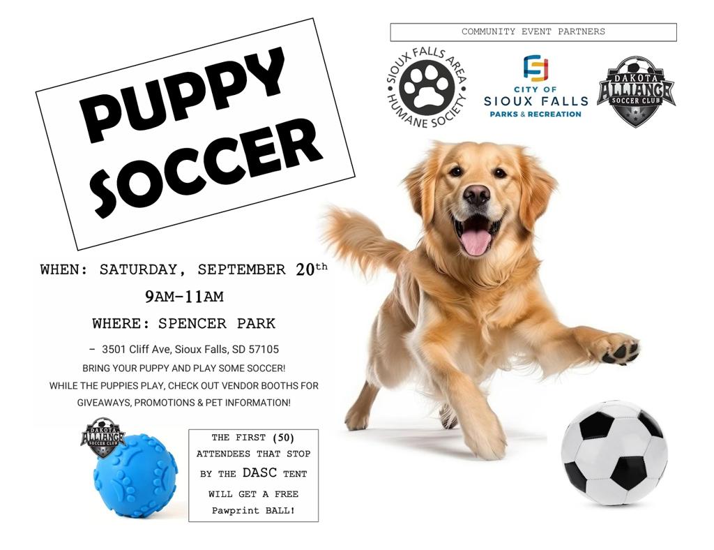 Puppy Soccer