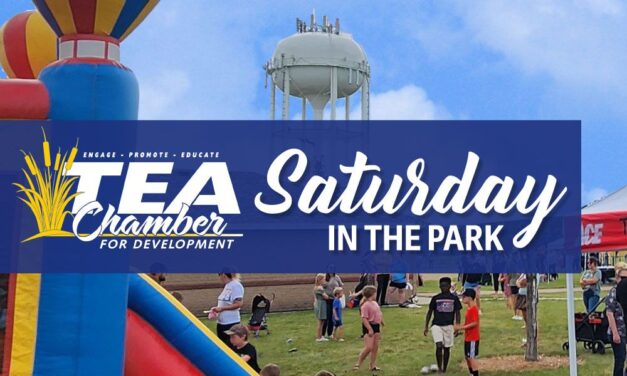 Saturday in the Park