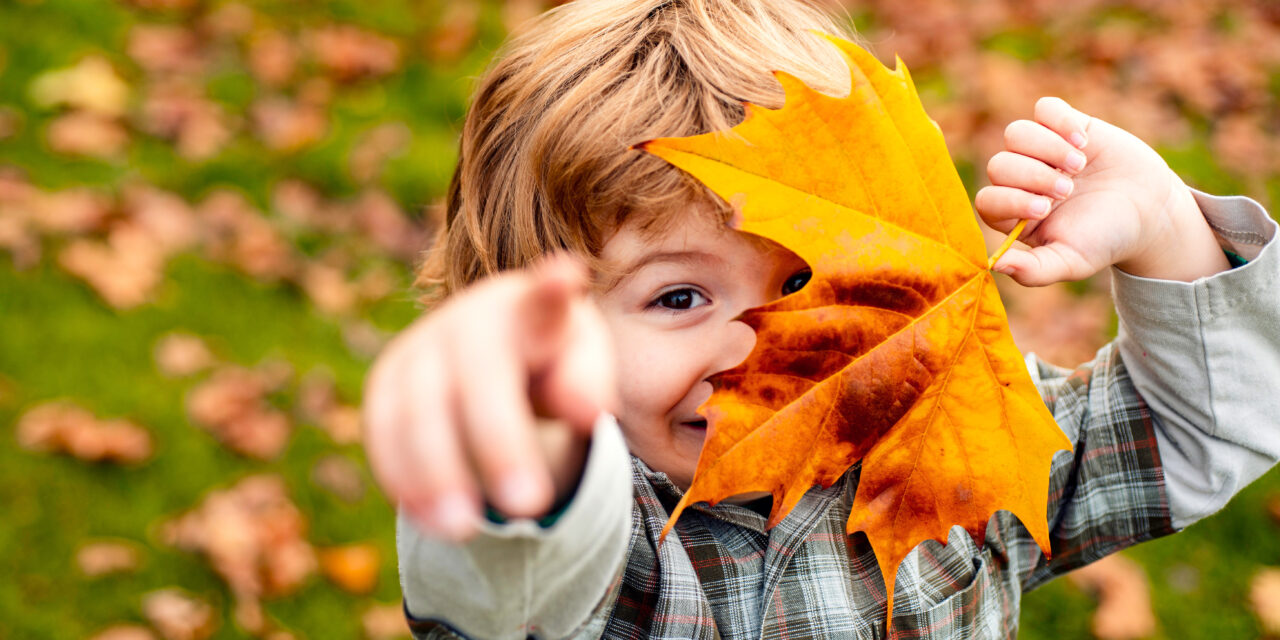 Where to Enjoy the Fall Colors: Sioux Falls Area