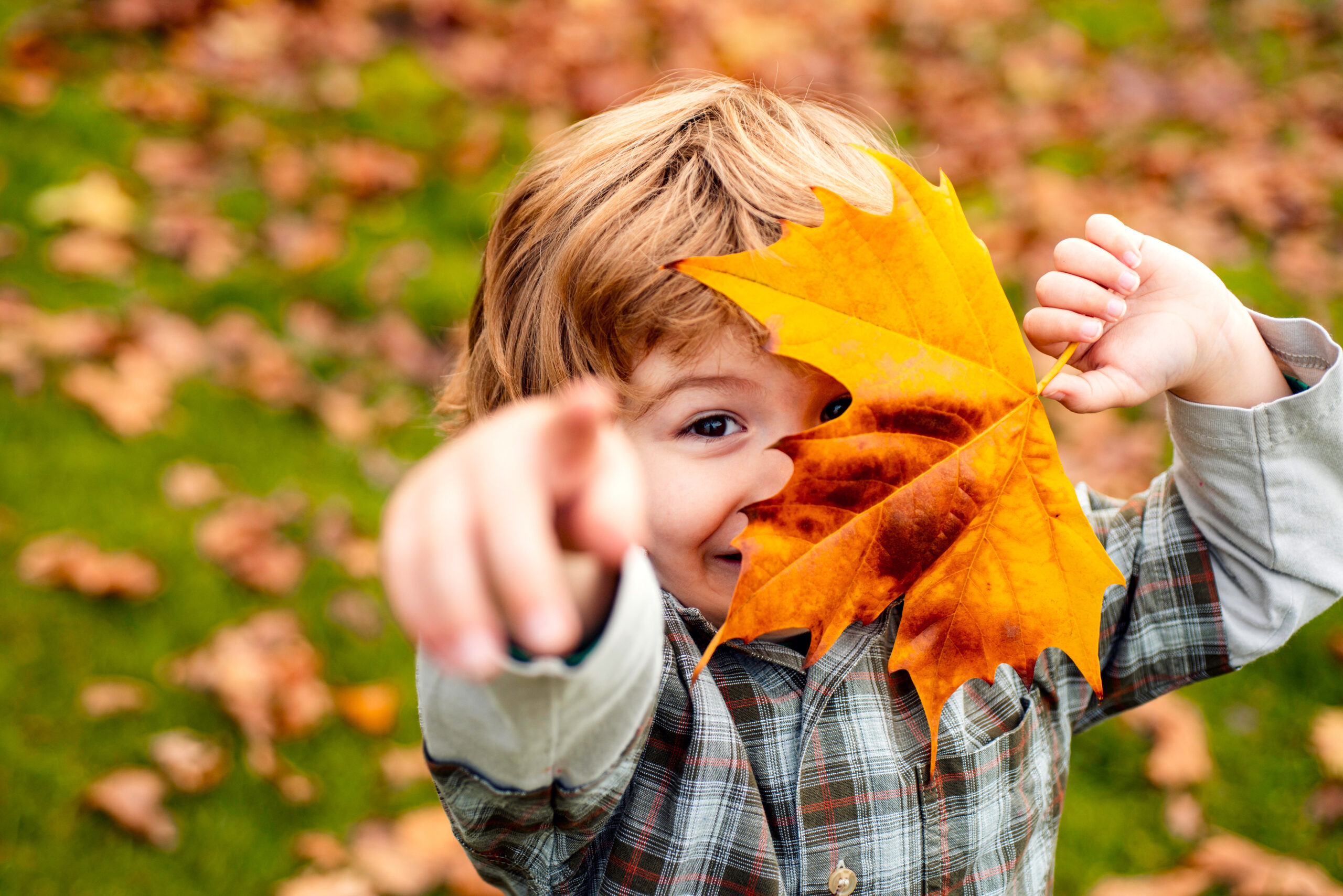 Boy holding a fall leaf