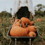 Pumpkin Patches: Sioux Falls Area Guide