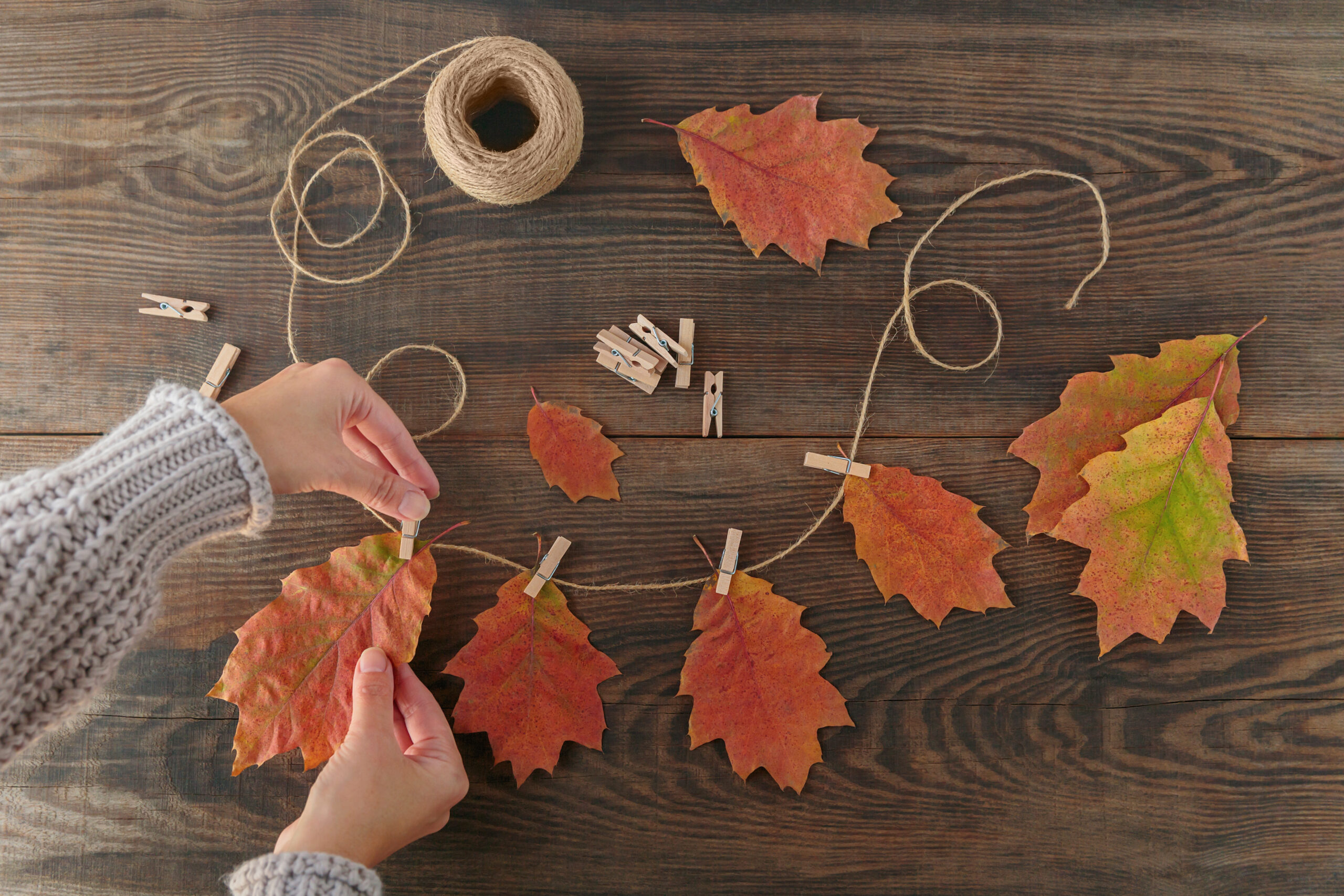 Leaf Banner/Garland