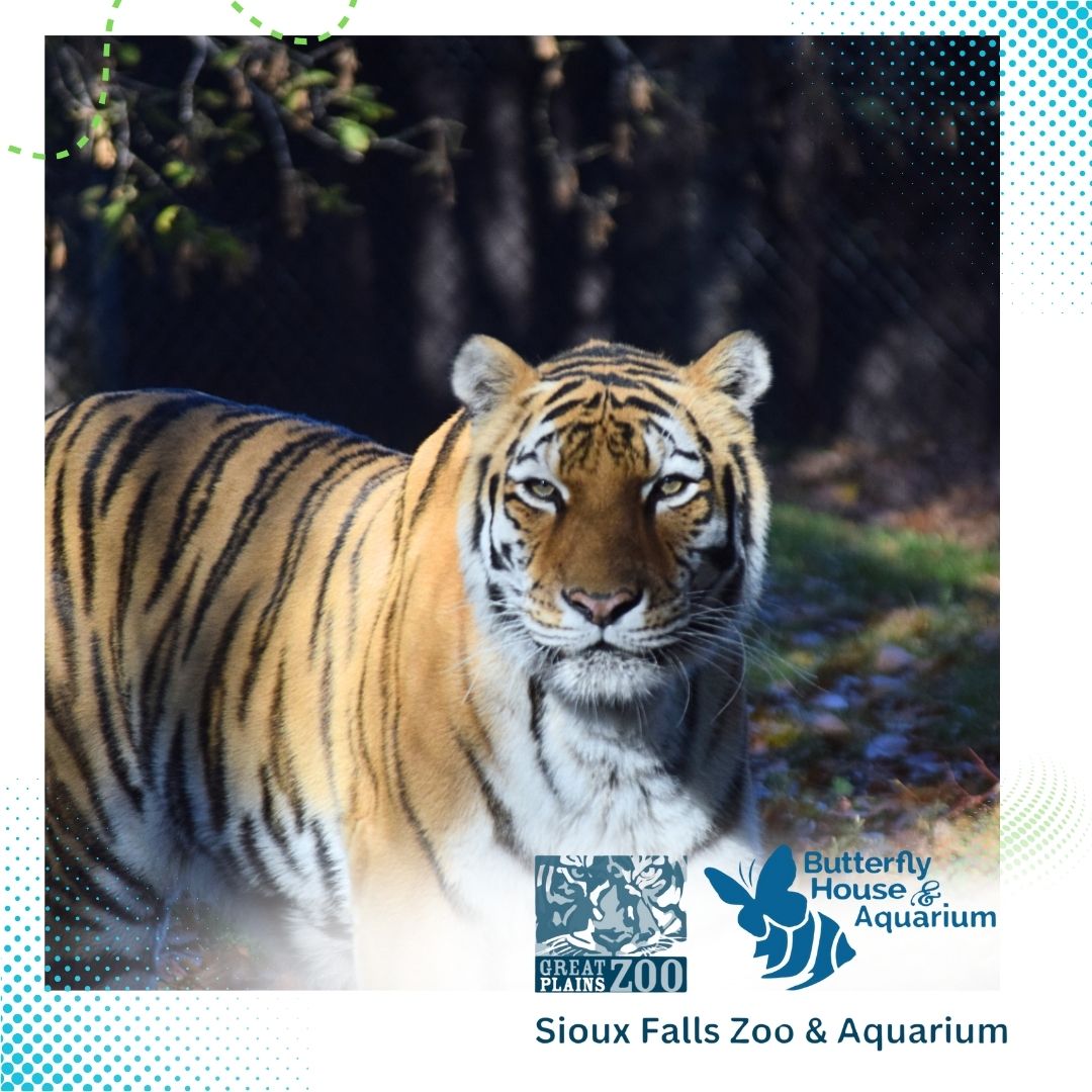 great plains zoo