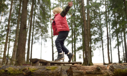 8 Things to Do on a Spring Nature Walk