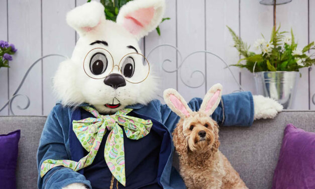 Pet Photos with Bunny