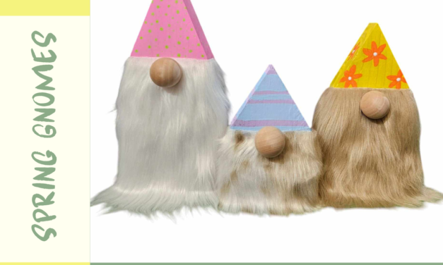 ???????? Spring Gnomes Workshop ????????