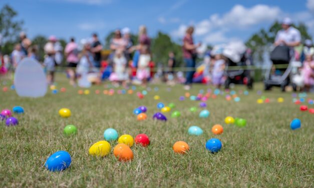 Egg Dash and Splash
