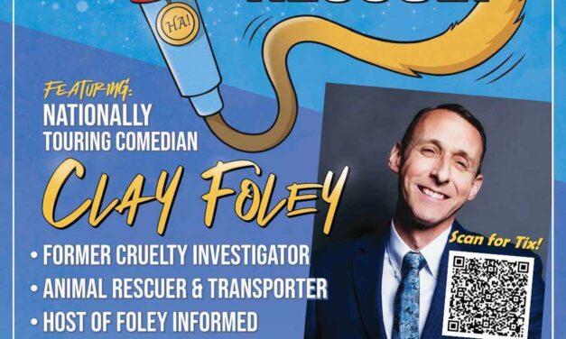 Comedy to the Rescue