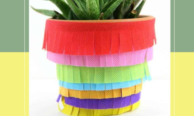 ???? Fiesta Planters Make & Take ????