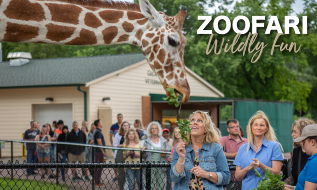 Giraffe Feeding at the Zoo