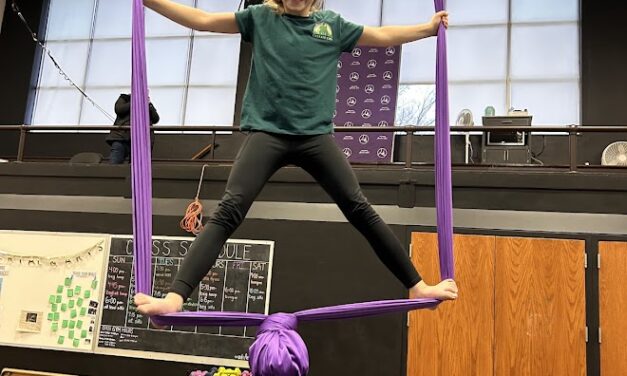 SDAA Kids Summer Aerial Camp