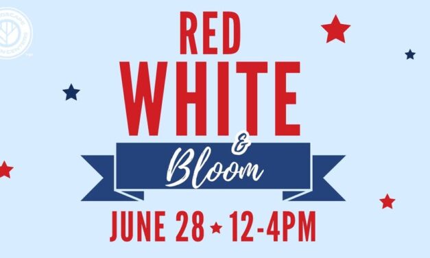 Red, White, and BLOOM