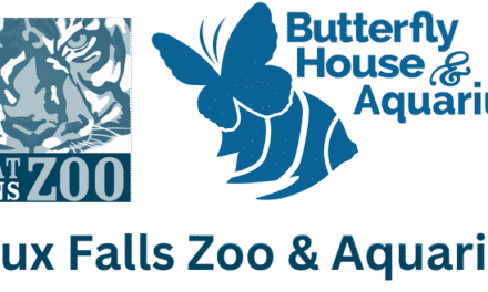 Ask the Expert: How do you X-ray Different Zoo Animals? 