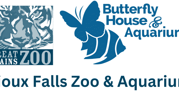 Ask the Expert: How do you X-ray Different Zoo Animals? 