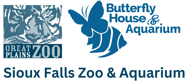 Ask the Expert: How do you X-ray Different Zoo Animals? 