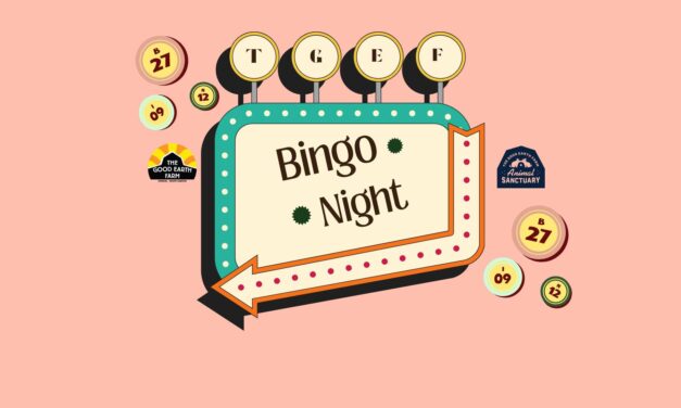 Bingo & Pizza Night at The Good Earth Farm
