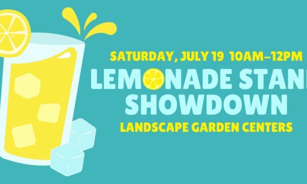 Lemonade Stand Showdown