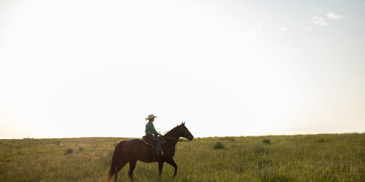 Saddles Over Screens: Finding Purpose at Benson Equestrian Center 