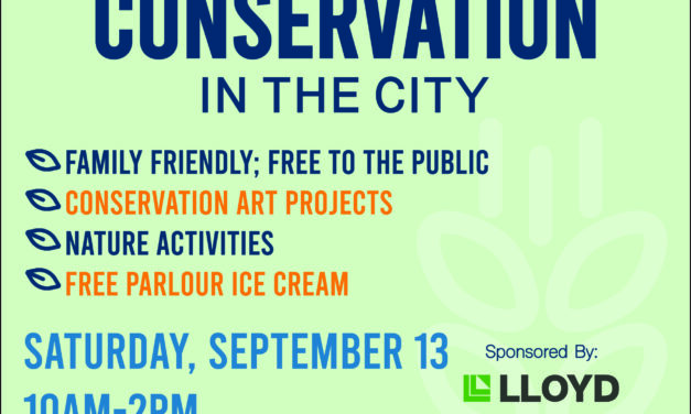 Conservation in the City