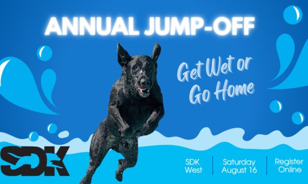 Jump-Off Dock Diving Competition