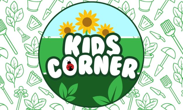 Kids Corner at Landscape Garden Center