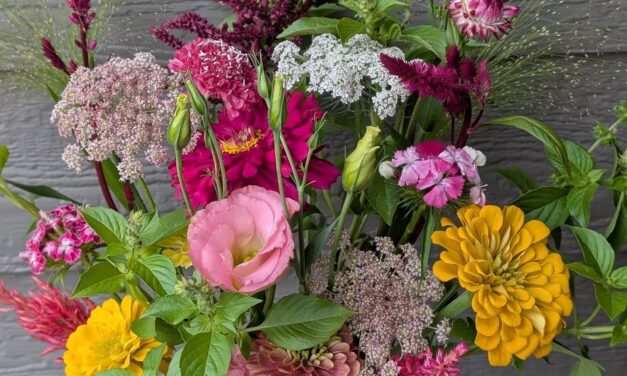 Floral Workshop at Nektar Juice Bar