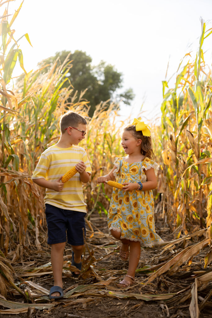 Corn Maze at Yogi Bear