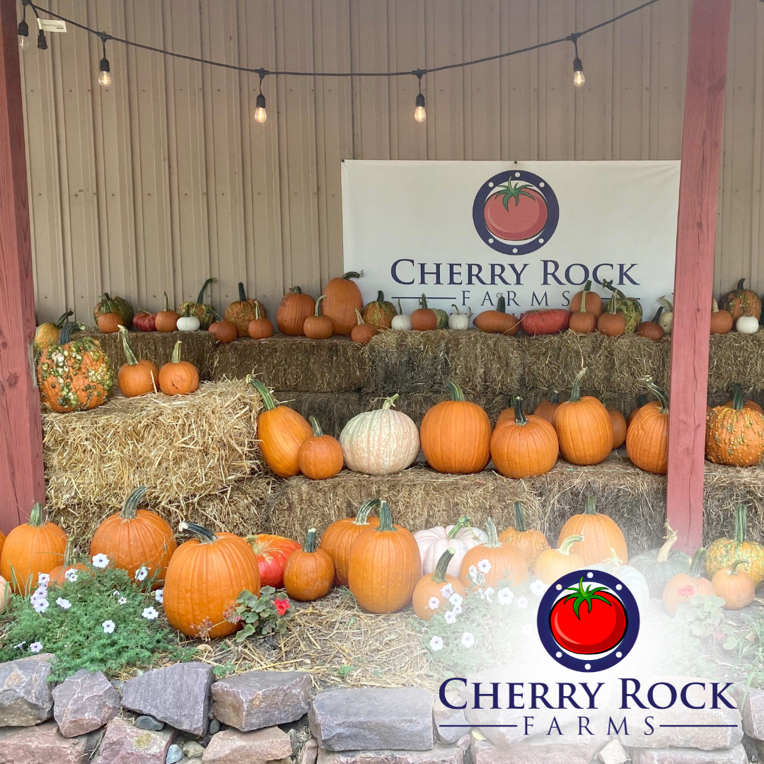 cherry rock