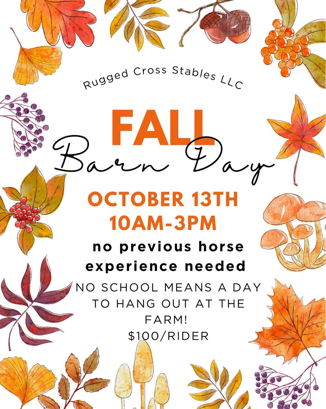 Fall Barn Day at Rugged Cross Stables
