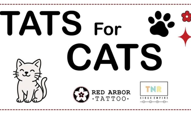 Tats for Cats