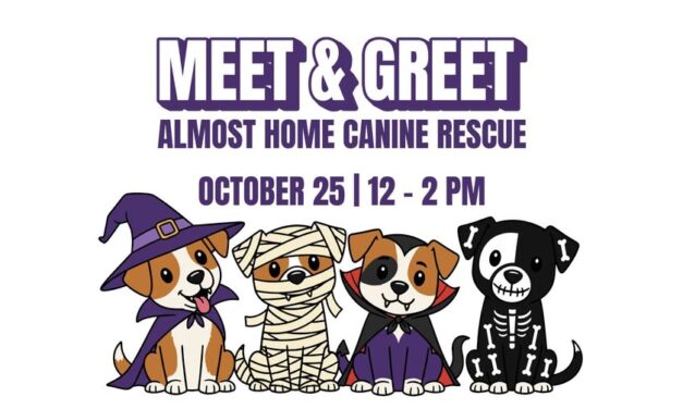 Meet & Greet with Almost Home Canine Rescue