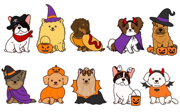 Costume Contest at Pets Want