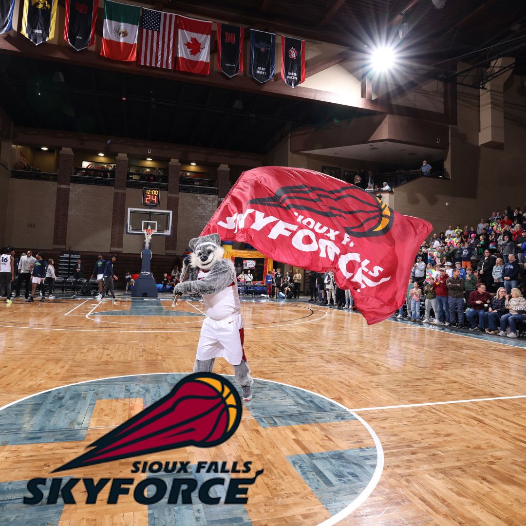 skyforce
