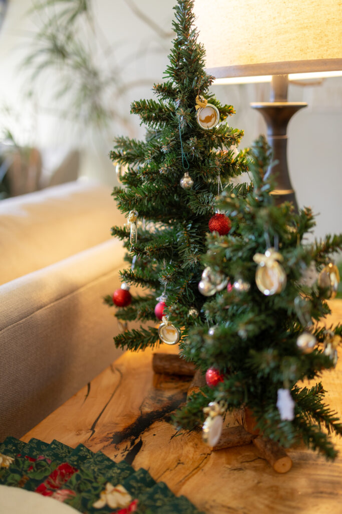 Nov/Dec Cover Family Home Details of two little trees